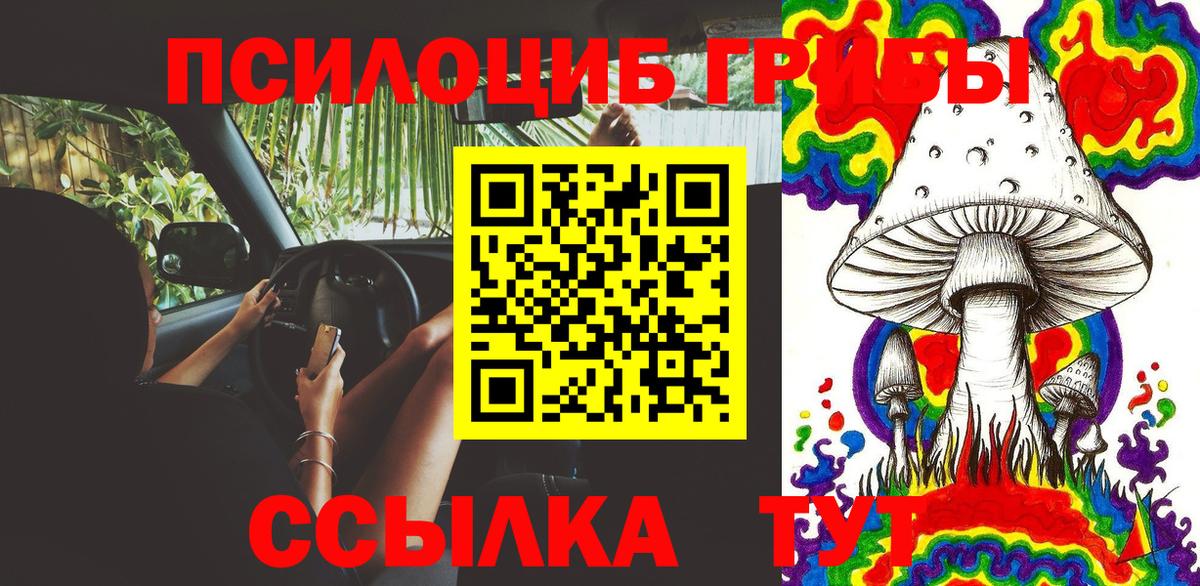 Котовск  Псилоцибиновые грибы Magic Shrooms  Псилоцибиновые грибы Psilocybine cubensis  Вход с VPN 